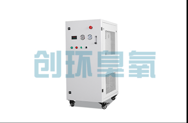 遵化工厂化养鲈必看:2026年臭氧发生器替代传统消毒的最新方案