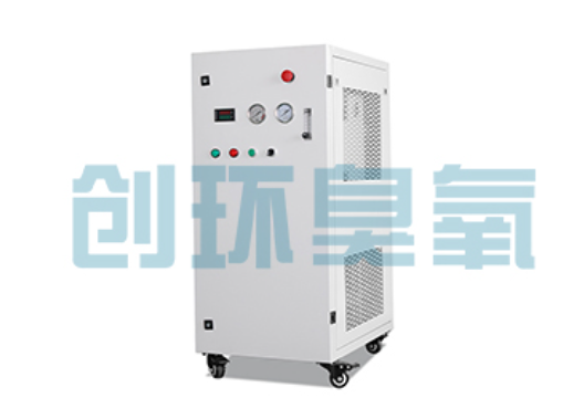 遵化石斑鱼养殖水质调控完整指南:臭氧发生器配置与操作步骤